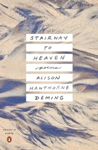Enlarge image Cover: Stairway to Heaven - Penguin Books
