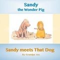Cover: Sandy Meets That Dog - Ragabond Press