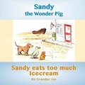 Cover: Sandy Eats Too Much Icecream - Ragabond Press