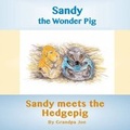 Cover: Sandy Meets the Hedgehog - Ragabond Press