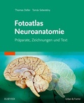 Bild: Fotoatlas Neuroanatomie - Urban & Fischer