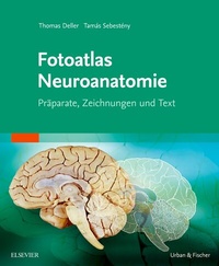 Abbildung von: Fotoatlas Neuroanatomie - Urban & Fischer