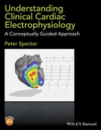 Abbildung von: Understanding Cardiac Electrophysiology - Wiley-Blackwell