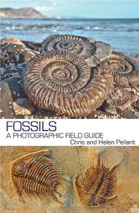Enlarge image Cover: Fossils - Bloomsbury Natural History
