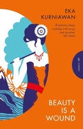 Cover: Beauty is a Wound - Pushkin Press