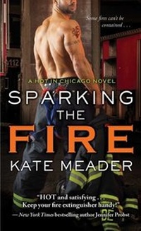 Enlarge image Cover: Sparking the Fire - Pocket Books