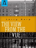Cover: The View from the Vue - Open Road Distribution