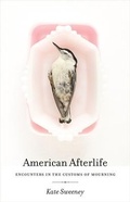 Cover: American Afterlife - University of Georgia Press