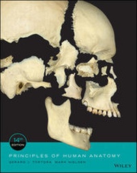 Enlarge image Cover: Principles of Human Anatomy - Wiley