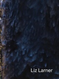 Cover: Liz Larner - Karma
