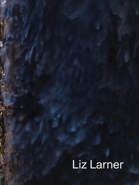 Enlarge image Cover: Liz Larner - Karma