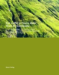 Cover: Cul zuffel e l'aura dado - Gion A. Caminada - Quart Verlag
