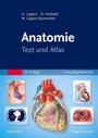 Cover: Anatomie - Urban & Fischer