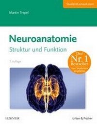 Abbildung von: Neuroanatomie - Urban & Fischer