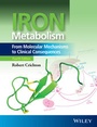Bild: Iron Metabolism - Wiley