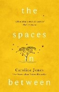 Cover: The Spaces In Between - Constable