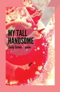 Cover: My Tall Handsome - Brain Mill Press