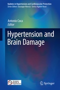 Bild: Hypertension and Brain Damage - Springer