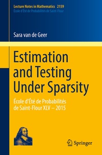 Enlarge image Cover: Estimation and Testing Under Sparsity - Springer