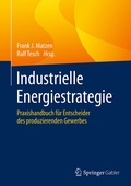 Cover: Industrielle Energiestrategie - Springer Gabler