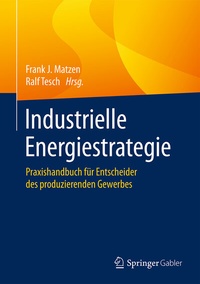 Abbildung von: Industrielle Energiestrategie - Springer Gabler