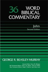 Enlarge image Cover: John: Vol 36 - Paternoster Press