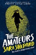 Cover: The Amateurs - Hot Key Books