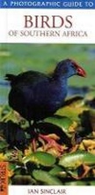 Cover: Southern African Birds - Struik (C.) Pty.Ltd,South Africa
