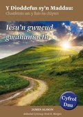 Cover: Dioddefus Sy'n Maddau, Y: 2. Iesu'n Gwneud Gwahaniaeth - Cyhoeddiadau'r Gair