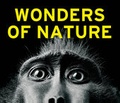 Cover: Wonders of Nature - Klartext