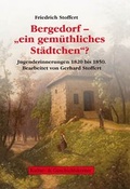 Cover: Friedrich Stoffert: Bergedorf - "ein gem&uuml;thliches St&auml;dtchen"? - Initiative z. Erhalt. histor. Bauten