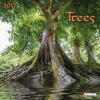 Enlarge image Cover: Trees 2017 - Tushita PaperArt GmbH
