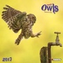 Cover: Magic Owls 2017 - Tushita PaperArt GmbH