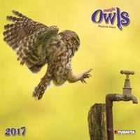 Enlarge image Cover: Magic Owls 2017 - Tushita PaperArt GmbH