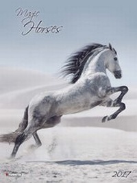 Abbildung von: Magic Horses 2017 - Tushita PaperArt