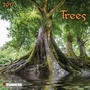 Cover: Trees 2017 - Tushita PaperArt GmbH