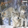 Cover: Wolves 2017 - Tushita PaperArt GmbH