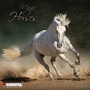 Cover: Magic Horses 2017 - Tushita PaperArt GmbH