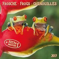 Abbildung von: Frogs 2017 - Tushita PaperArt