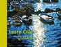 Cover: Learn Oils Quickly - Batsford