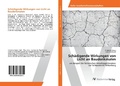 Cover: Sch&auml;digende Wirkungen von Licht an Baudenkmalen - AV Akademikerverlag