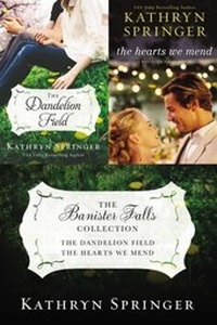Enlarge image Cover: The Banister Falls Collection - Zondervan