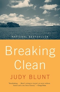 Enlarge image Cover: Breaking Clean - Vintage