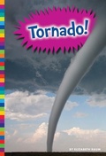 Cover: Tornado! - Amicus High Interest