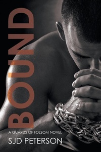 Enlarge image Cover: Bound Volume 5 - Dreamspinner Press