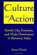 Cover: Culture in Action - State University of New York Press