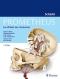 Cover: PROMETHEUS LernPaket Anatomie Sch&auml;del - Thieme