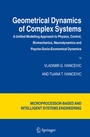 Cover: Geometrical Dynamics of Complex Systems - Springer
