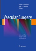 Bild: Vascular Surgery - Springer