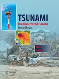 Cover: Tsunami - Springer